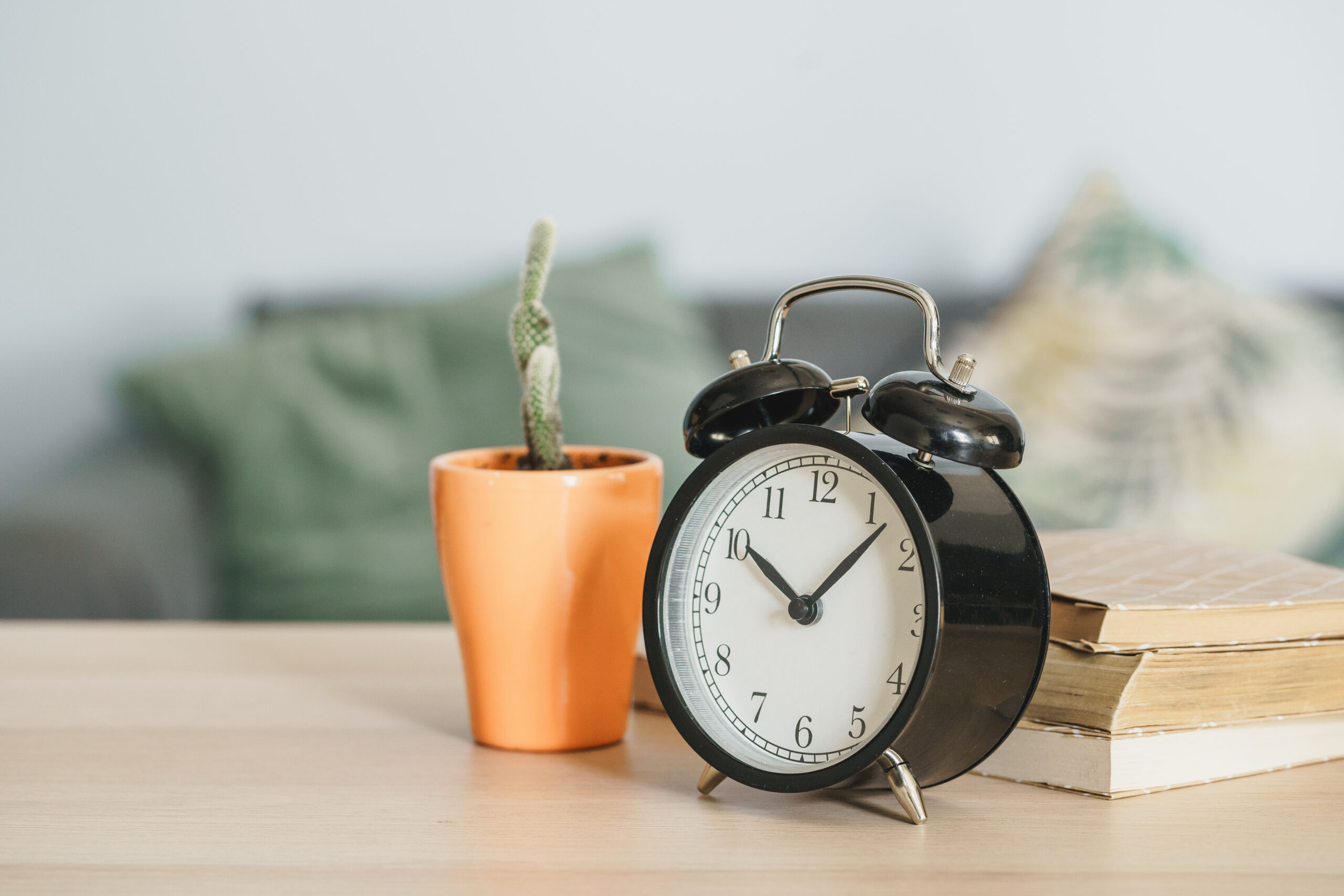 Old-fashioned alarm clock and house plant on wooden table