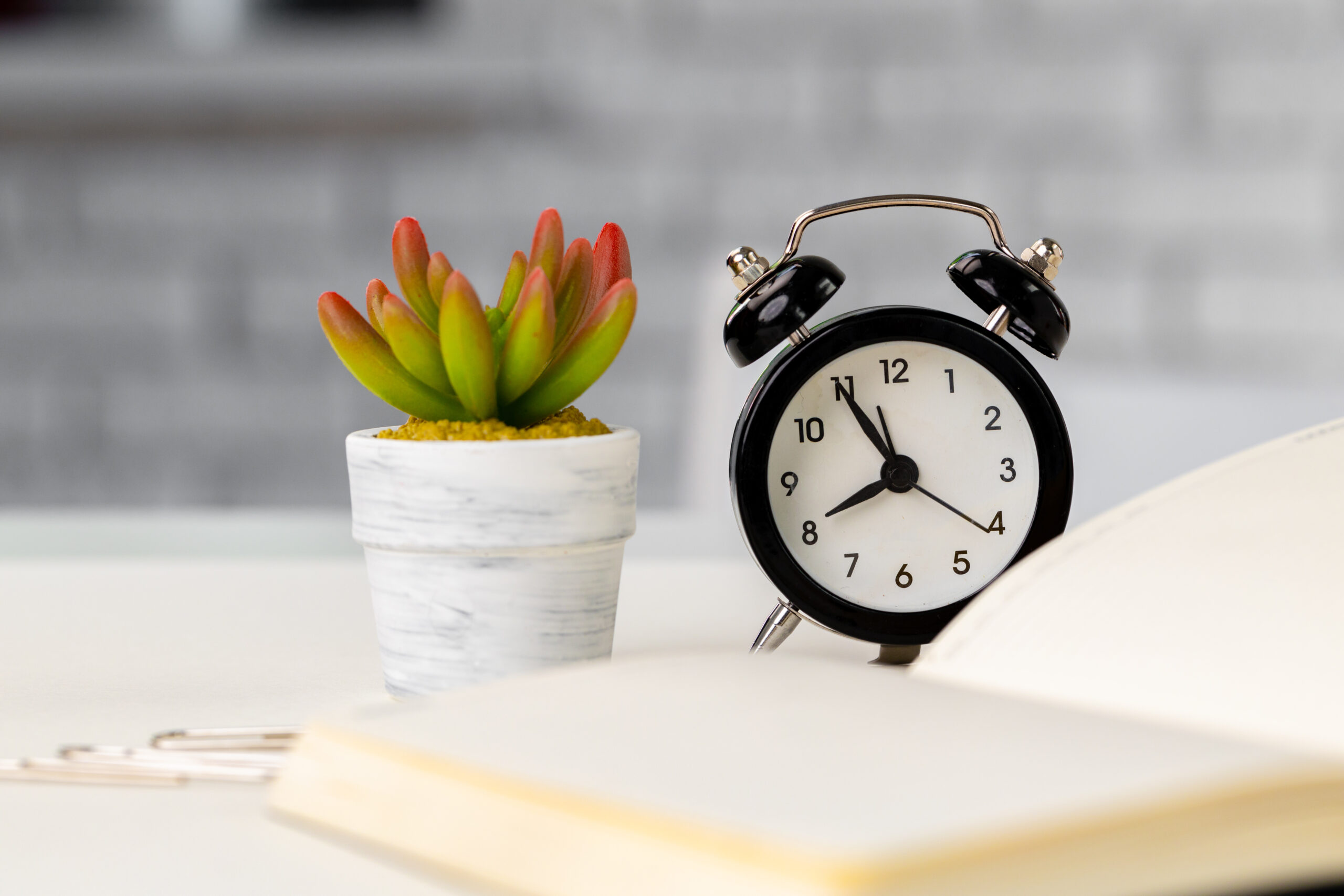 Open notepad, alarm clock and succulent on working table close up