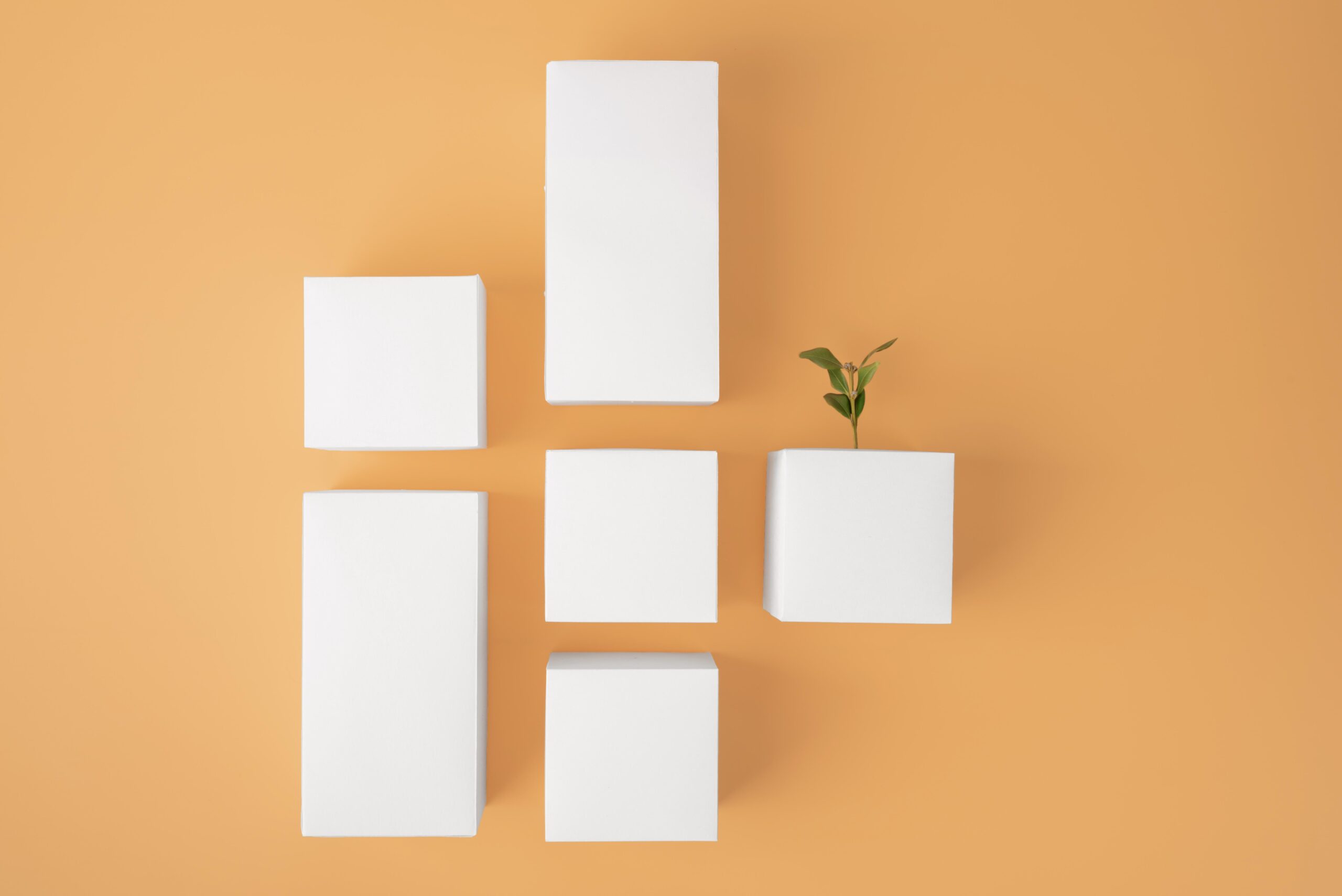 sustainability-concept-with-plants-growing-from-blank-geometric-forms