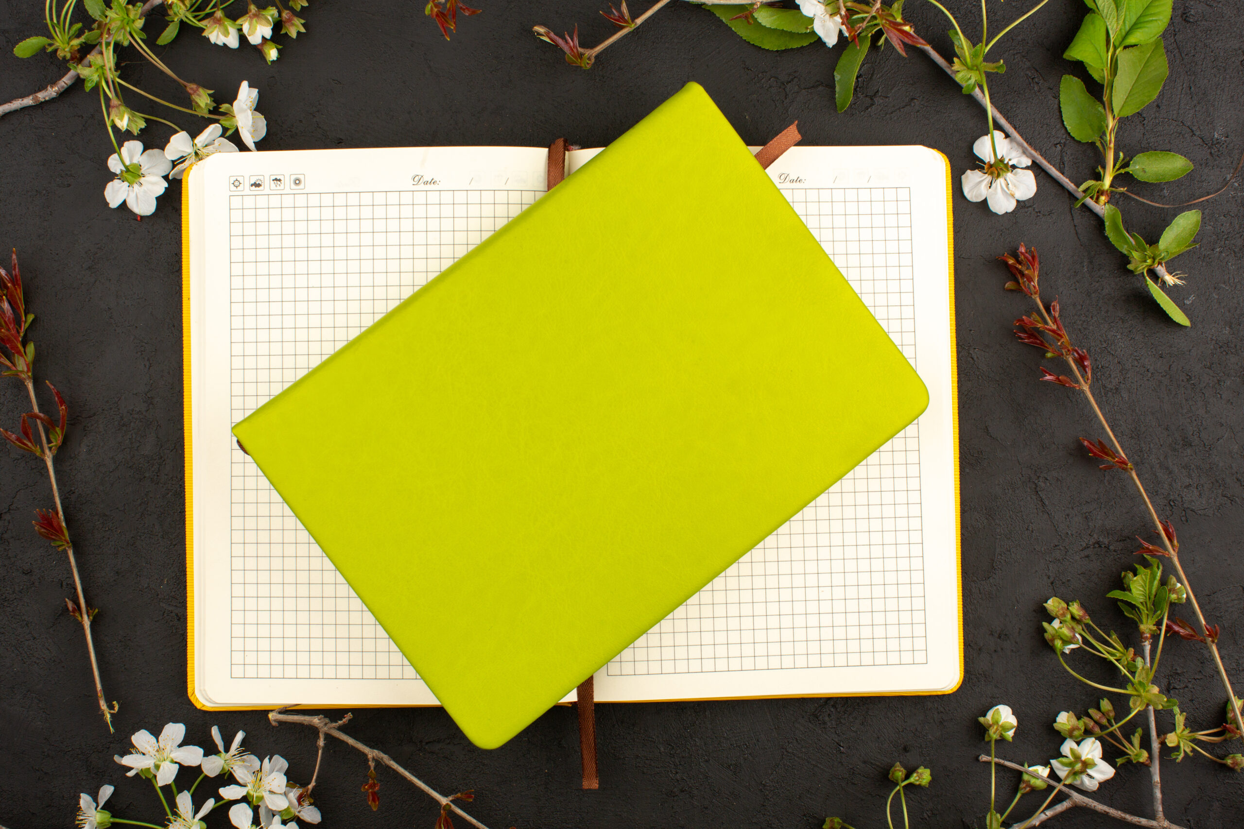top-view-pistachios-copybook-around-white-flowers-dark-floor